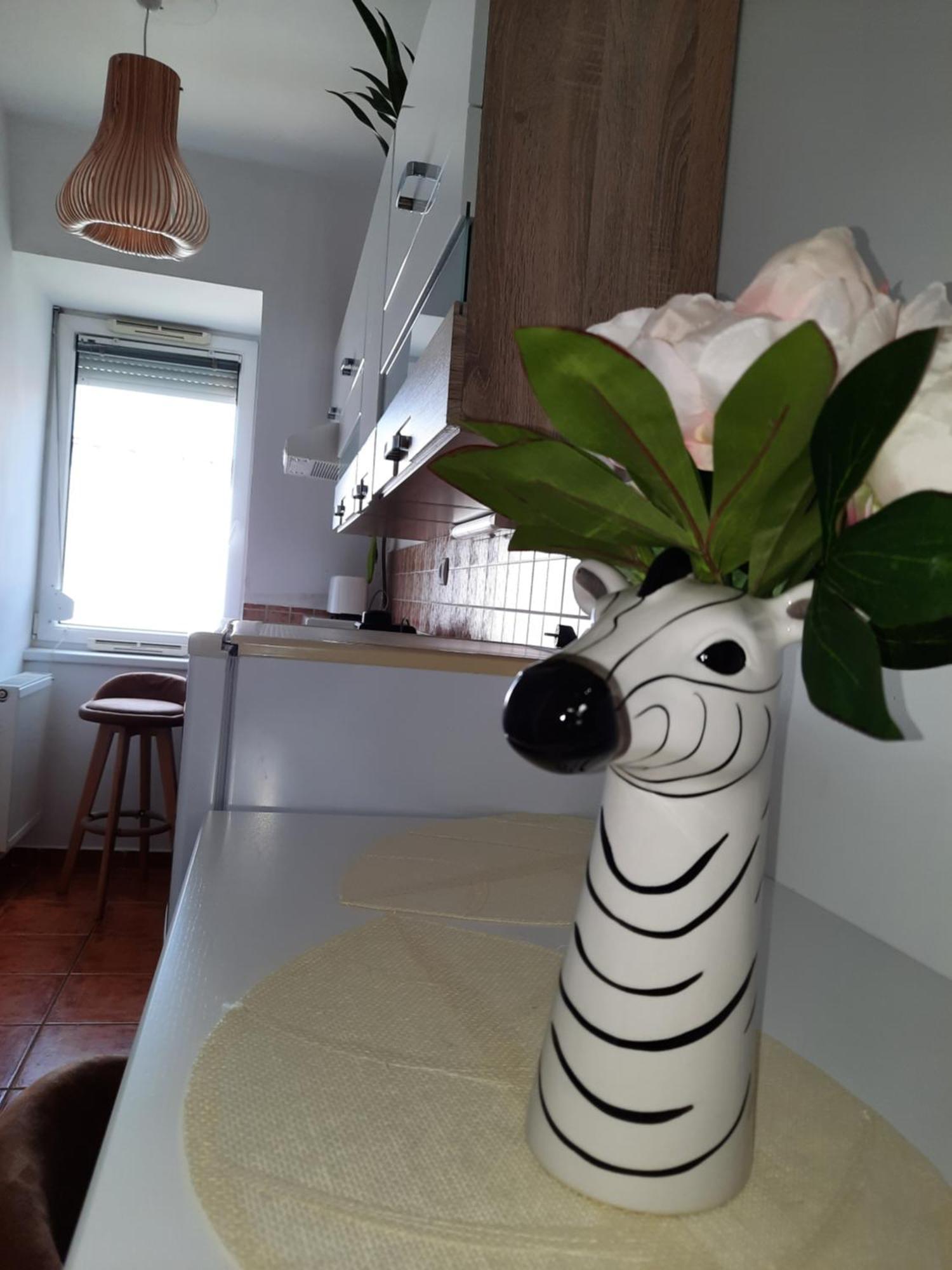 Zoeld Beka Koelcsey Ii * Hajdúszoboszló